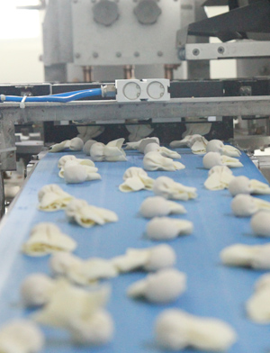 產(chǎn)品工藝